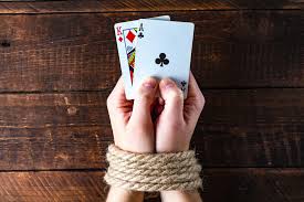 Зеркало DBbet Casino